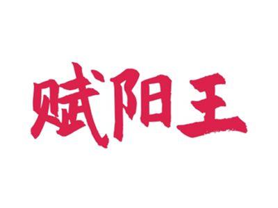赋阳王