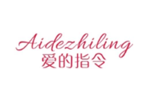 爱的指令AIDEZHILING