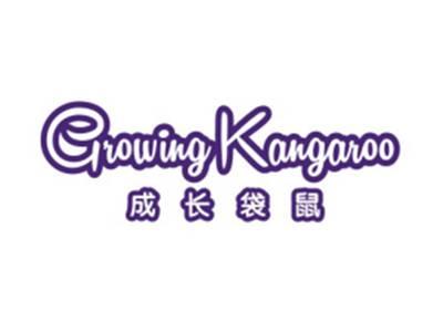 成长袋鼠GROWINGKANGAROO