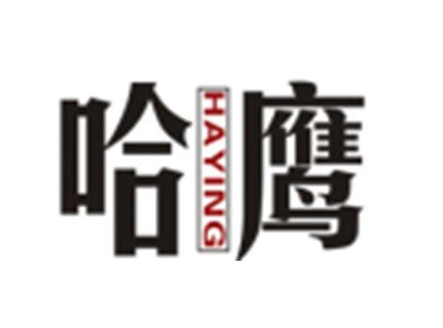 哈鹰HAYING