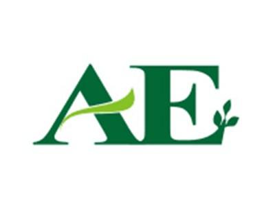 AE图形