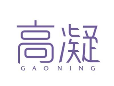 高凝GAONING