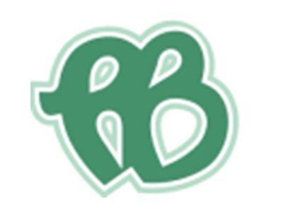 PB图形