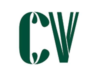 CV图形