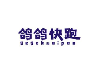 鸽鸽快跑GEGEKUAIPAO