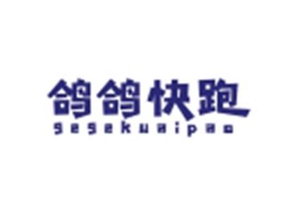 鸽鸽快跑GEGEKUAIPAO