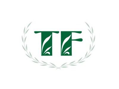 TF图形