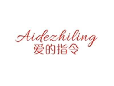 爱的指令AIDEZHILING