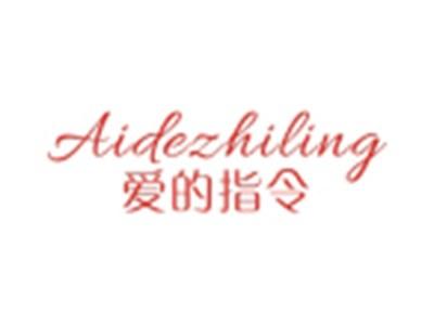 爱的指令AIDEZHILING