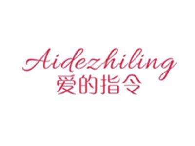爱的指令AIDEZHILING