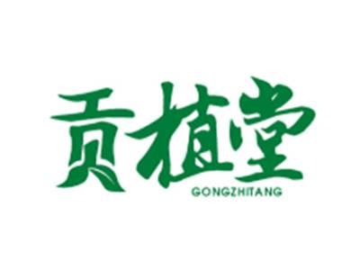 贡植堂GONGZHITANG