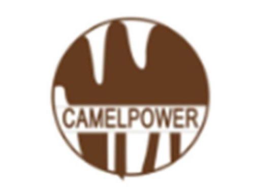 CAMELPOWER（骆驼力量）