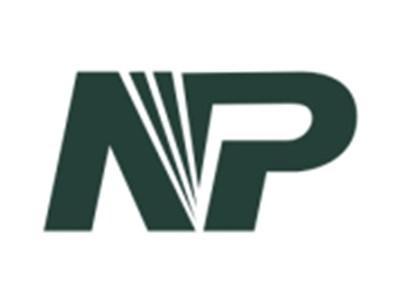 NP图形