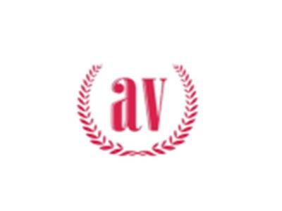 AV图形
