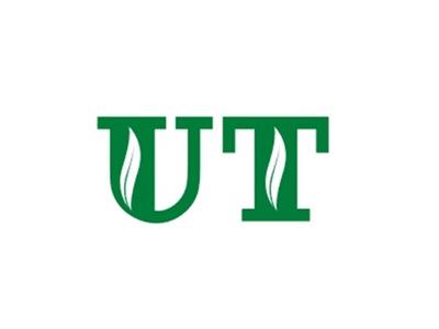 UT图形