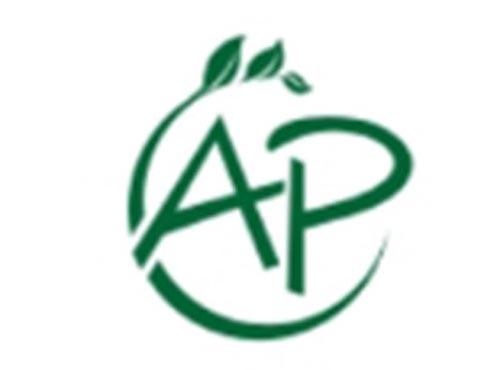 AP图形