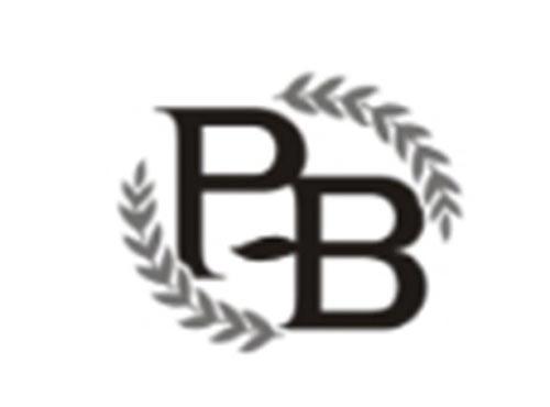 PB图形