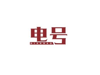 电号DIANHAO