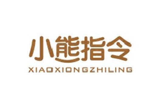 小熊指令XIAOXIONGZHILING