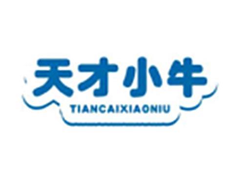 天才小牛TIANCAIXIAONIU