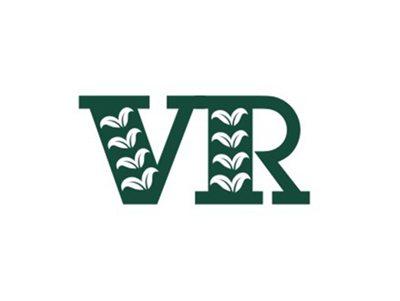 VR图形