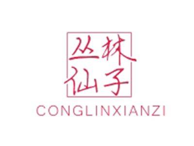 丛林仙子CONGLINXIANZI