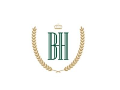 BH图形