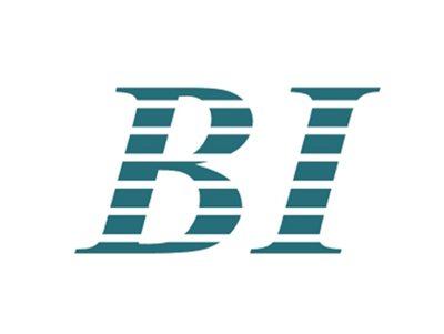 BI图形