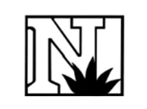 N图形