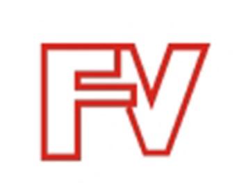FV图形