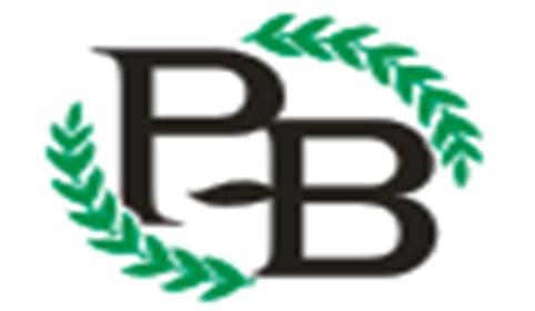 PB图形