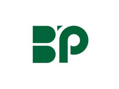 BP图形