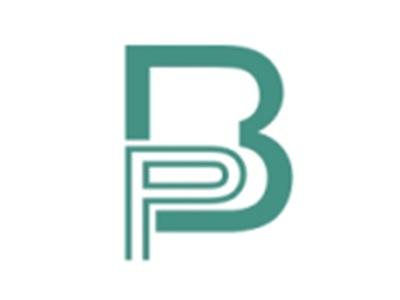 BP图形