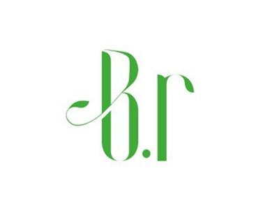 BR图形