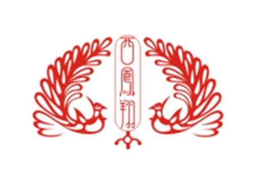 西凤翔+图形