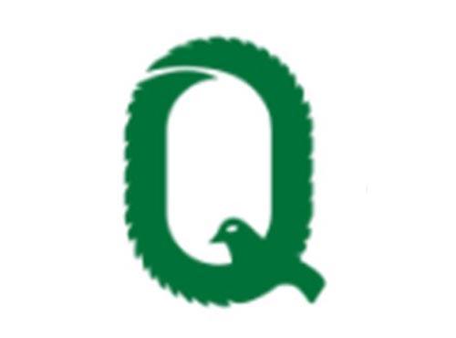Q鸟图形