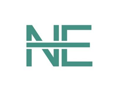 NE图形