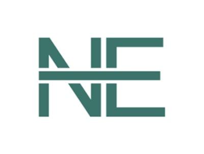 NE图形
