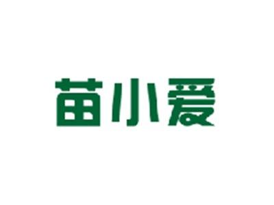 苗小爱