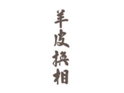 羊皮换相