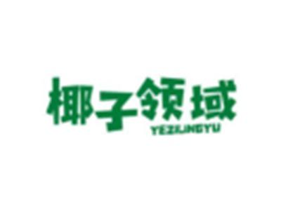 椰子领域YEZILINGYU