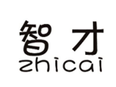 智才