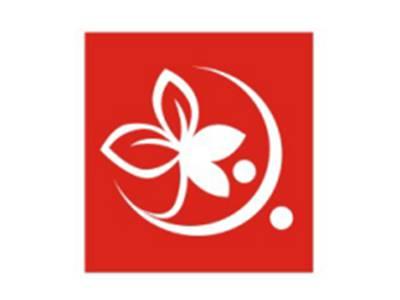 图形