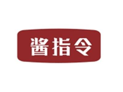 酱指令