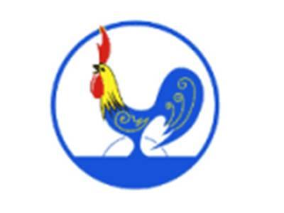 鸡图形