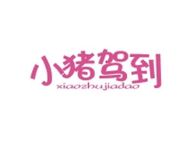 小猪驾到XIAOZHUJIADAO