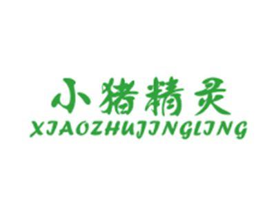 小猪精灵XIAOZHUJINGLING