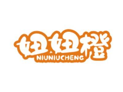 妞妞橙NIUNIUCHENG