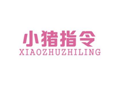 小猪指令XIAOZHUZHILING
