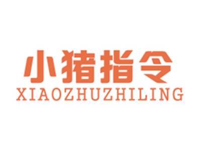 小猪指令XIAOZHUZHILING
